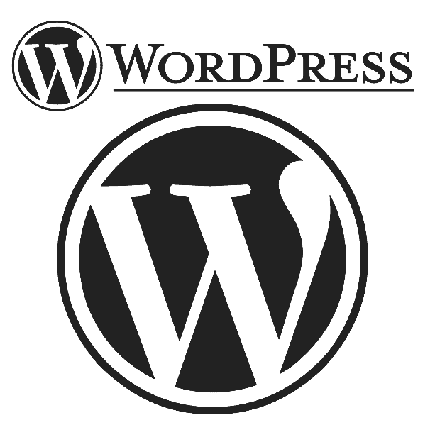 Here Are 10 Reasons Why A WordPress Website Is The Best Choice For Your Business